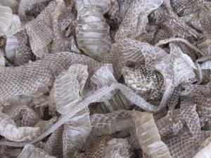 ܶ๦Чװֹܶʹ ܶദʲô