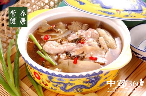 天麻的功效与作用及食用方法