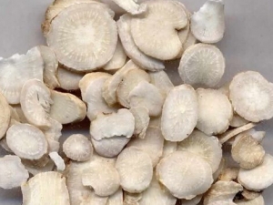 �׸��ӺͰ׸�Ƭ�Ĺ�Ч������