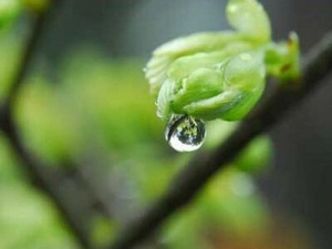 ������ν������� ����������ʲô