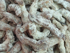 ��ŧɢ���� ��ŧɢ��Ч