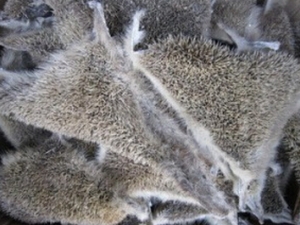 ���Ƥ�Ĺ�Ч������ ���Ƥ������Ӧ��