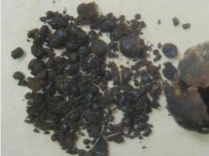 ˱鵤 ˱鵤Ч ˱鵤÷