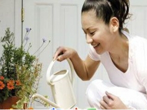 ���̹�����ô�� ���ڵ����̿�����