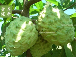 ����֦��Ӫ����ֵ����Щ ����֦�ĳԷ�����