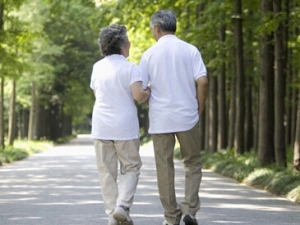 ����ɢ���������������� ɢ����ע������