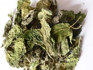 ɣҶĹЧ ɣҶҩüֵҩ