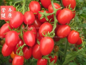 ʥŮ���Ĺ�Ч������ ʥŮ����ô��