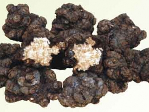 ��ܺ�Ĺ�Ч������ ��ܺ��ҩ������