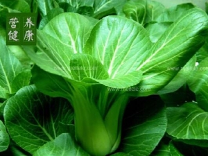 ��˵�Ӫ����ֵ����Щ ���ʳ�÷���