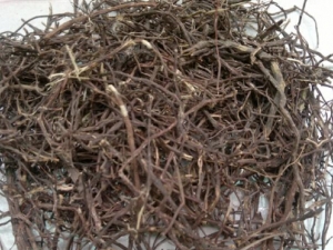 ������Ĺ�Ч������ �����л�Ѫ�ⶾ