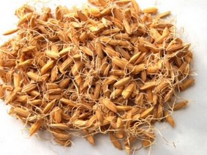 ��ѿ�Ĺ�Ч���� ��ѿ������Ӧ��