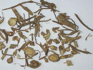 ͬ��������ҩĪ���� ��ҩ����Ч��֪��