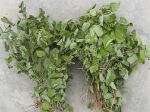 ����޽�Ĺ�Ч������ ����޽��ʳ�÷���