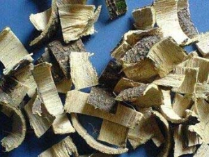 �ϻ�Ƥ�Ĺ�Ч������ �ϻ�Ƥ������Ӧ��