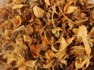 ��Ƥ���ٺ졢���ٺ�ֹ���в��