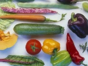 �����ԡ���ζ��ʤ���κβ�ҩ