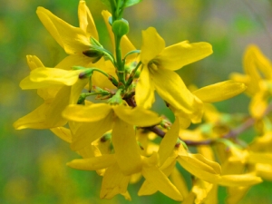 ̵ĹЧ ̵ĸ ̵ļ𷽷