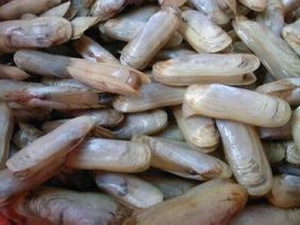 �����Ĺ�Ч������ ɢ����̵ ͨ��