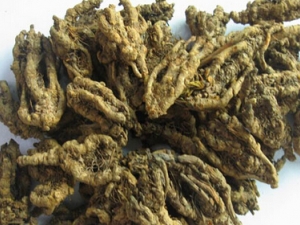 �����Ĺ�Ч������ ������������Щ����