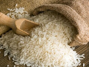 ������δ��治���棿���׵�ѡ������