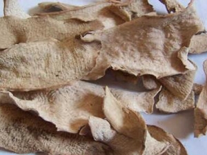 ����Ĺ�Ч������ �γ����ʹ