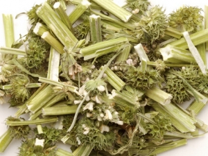 ��ҩ����֮��ĸ������