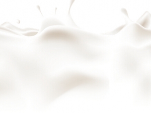 �������ţ������ ţ�̵�ʳ������