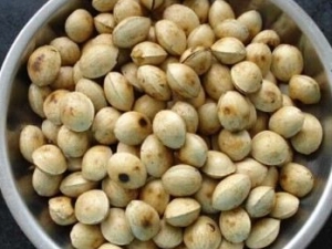 �׻������� �׻������� �׻�����������