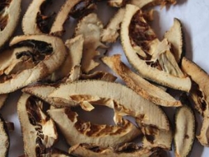 �۹��׿������� �۹��׿�����Ч �۹��׿�����������