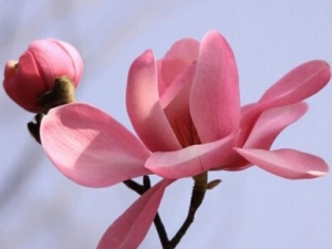 ������ô�� �α��׳���Ч�����Ļ��