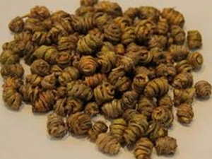 补肾石斛丸处方 补肾石斛丸功效 补肾石斛丸各家论述