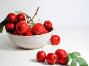 ɽ髵�Ӫ����ֵ ɽ髵�ʳ�÷���