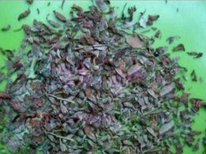 һ��Ѫ�Ĺ�Ч������ ����������ή