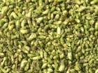 槐米的营养价值 槐米的食用方法