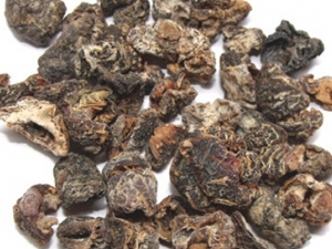 ��Ħ�յĹ�Ч������ ��̵����ֹ�Ƚⶾ