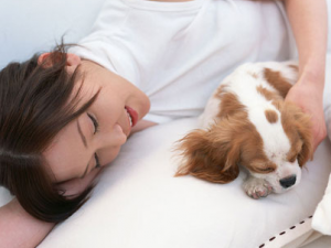 ������С������������