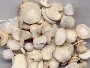 ֹЧ ֹЧЧ ֹЧٴӦ