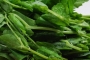 豌豆尖的营养价值 豌豆尖的食用方法