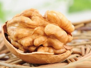 �������Ե���ʳ�������Ƽ�