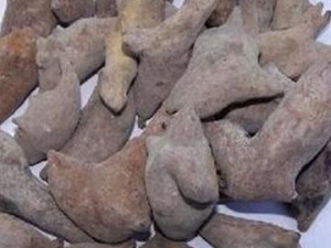 ��ҩ��Ĺ�Ч������ ��λ�̵ ֹѪֹк ��������