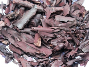 ��ҩ���ϲݵ���α���𷽷� �ϲݵĸ���