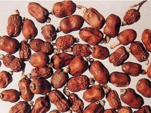 �춹ޢ�Ĺ�Ч������ ��ʪɢ�� ��Ƣ��ʳ