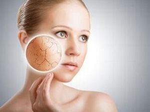 ѧ�ἡ������ ʮ�����ĵ��Ļ���ϰ��