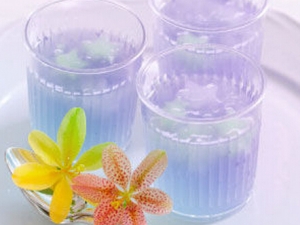 ûʱ����ʣ��������㻨�ݼ���ʳ��