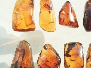 ����ķ�������𷽷�