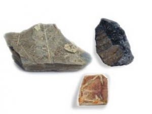 ���򻹻��账�� ���򻹻��蹦Ч ���򻹻����������