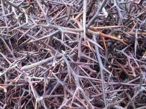 ���Ǵ̵Ĺ�Ч ���Ǵ̵�����Ӧ�� ���Ǵ̵ļ���