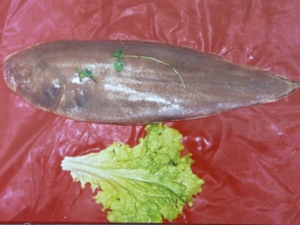 ��Ŀ���Ӫ����ֵ ��Ŀ�������