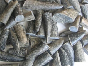 ˮţ�ǵĹ�Ч�����ü�ʳ�÷���